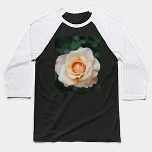 White rose blossom with bright yellow center Baseball T-Shirt